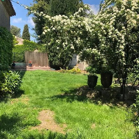 Maison Vigneronne Avec Jardin Et Piscine